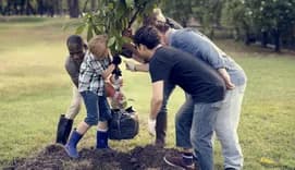 Mixed group planting tree in community