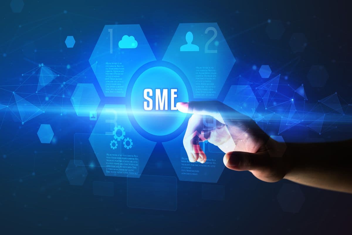 SME country reports