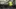 fallback