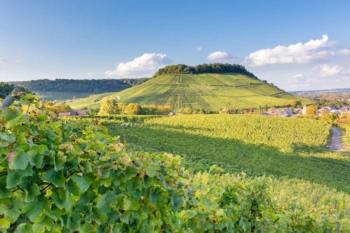 Autumnal landscape in the vineyards of Luxembourg at the Moselle